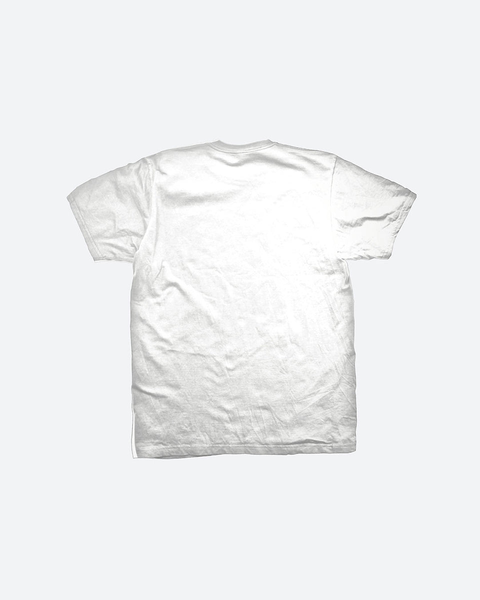 DGK x Bruce Lee Immortality Boxy T-Shirt– DGK®