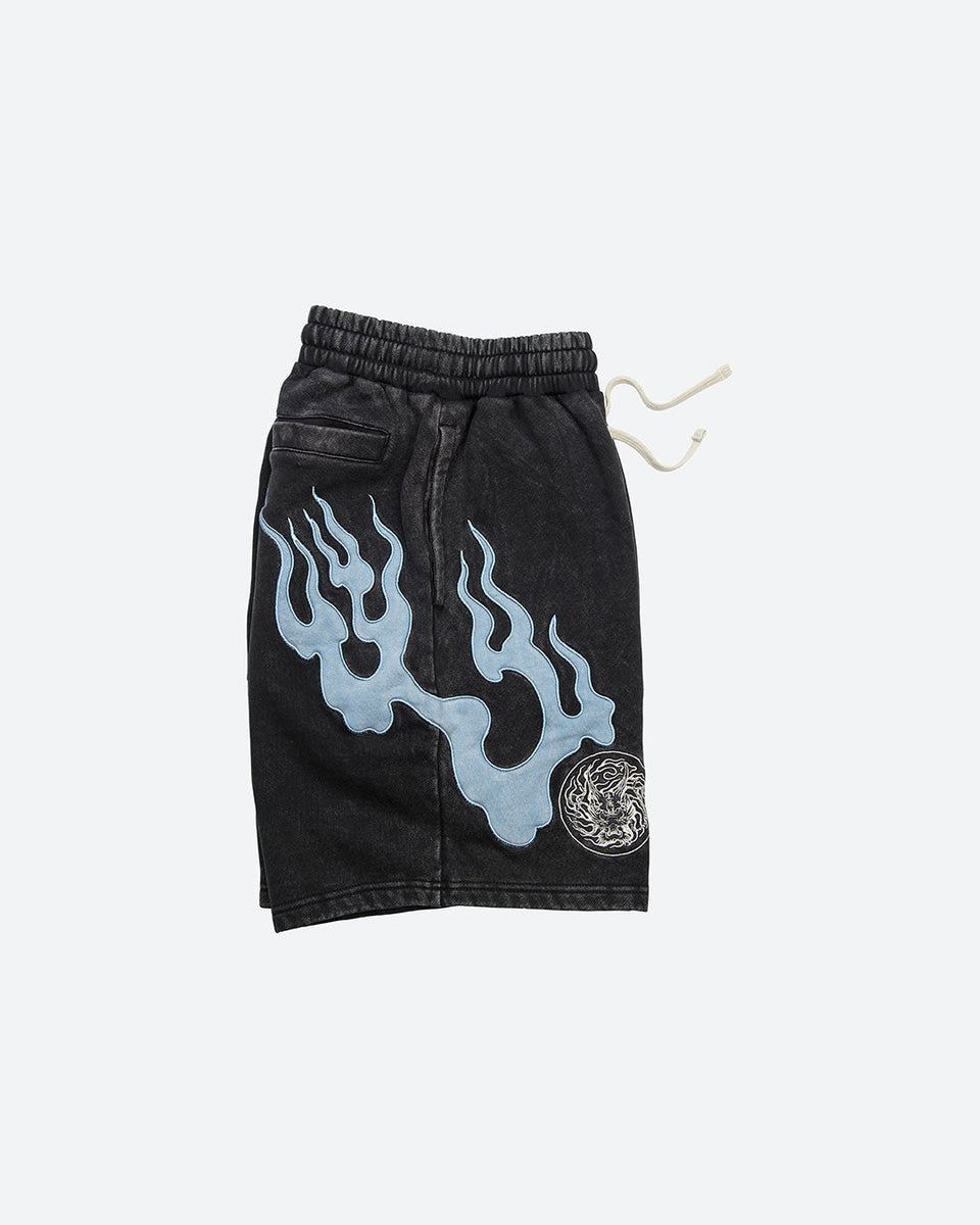 Storm Embroidered Fleece Shorts– DGK®