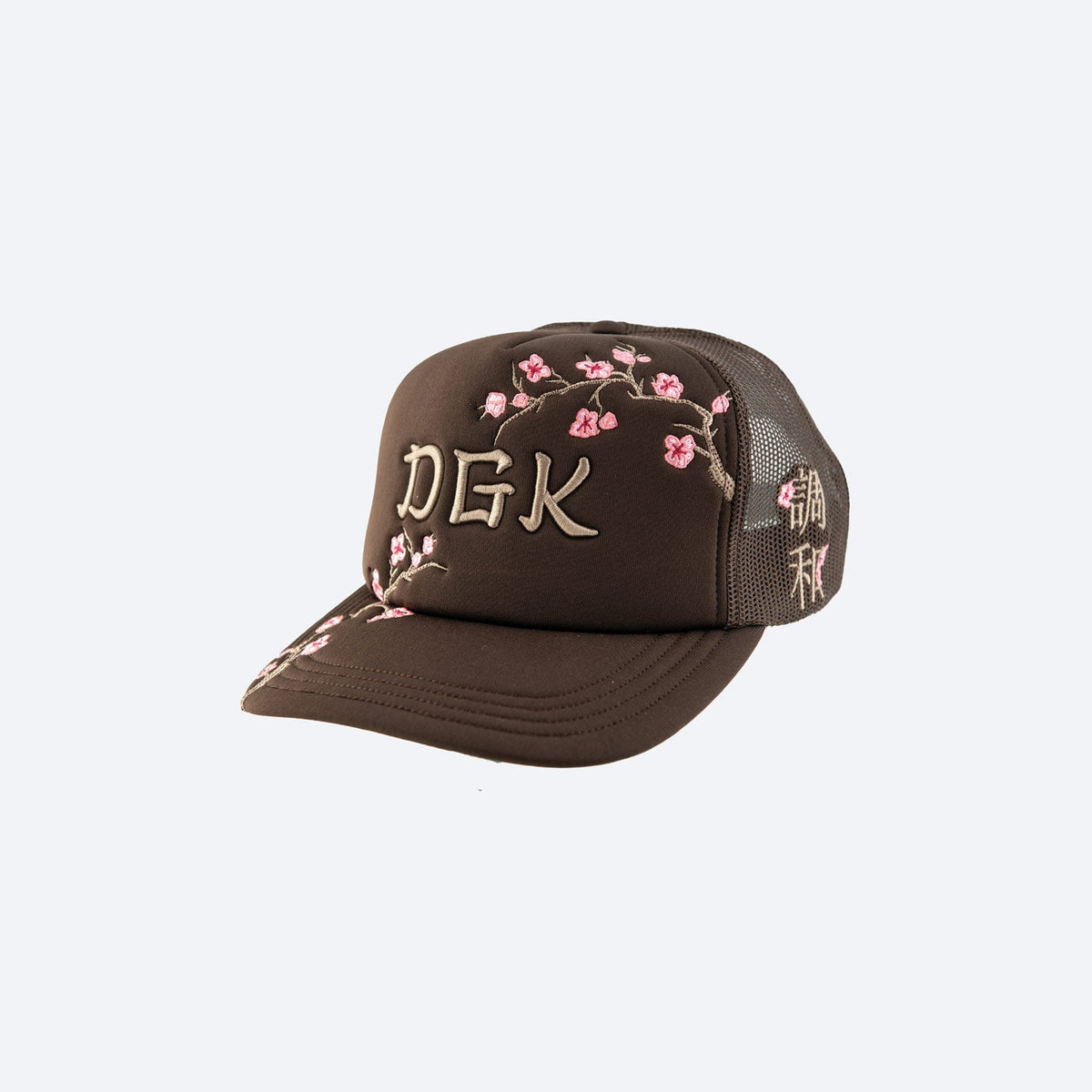 Dgk hats on sale