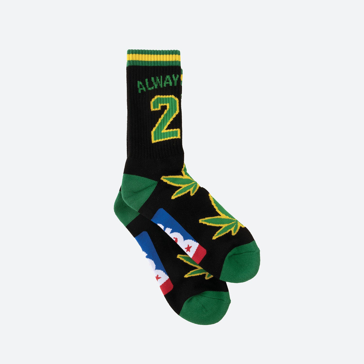 team-indica-crew-socks-dgk
