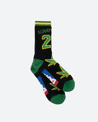 Team Indica Crew Socks