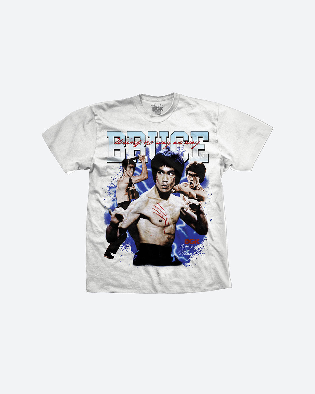 DGK_BruceLee42_1080x.jpg?v=
