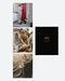 Godffiti No.4 8.25" Skateboard Deck