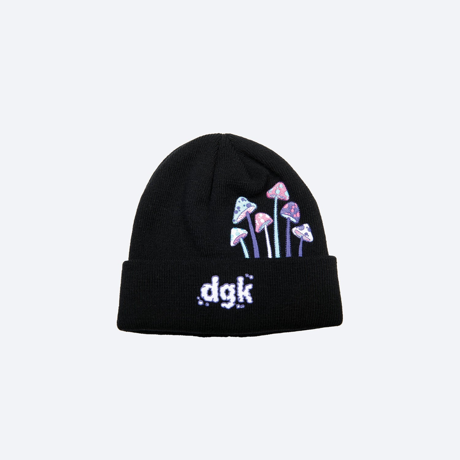 Dgk beanie deals