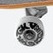 DGK Lolli Skateboard Complete