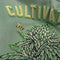 Cultivators Varsity Jacket