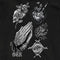 Stay True Crew Fleece