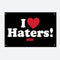 DGK I Love Haters Banner